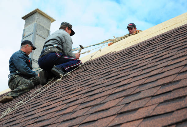 Best Roof Gutter Cleaning  in Hydesville, CA